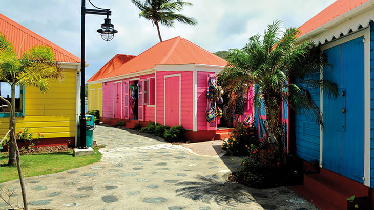 Experience the vibrancy of the Virgin Islands